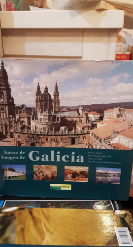 Portada do libro de IMAXE DE GALICIA - RAMIRO FORTE (t)