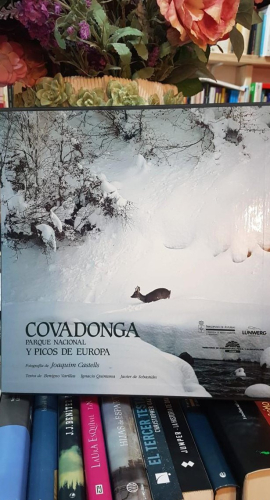 Portada do libro de Covadonga - Parque Nacional y Picos de Europa (t)