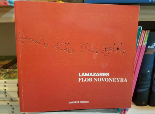 Portada do libro de LAMAZARES. FLOR NOVONEYRA. ALFABETO DELFÍN.