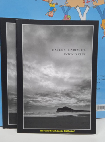 Portada do libro de Hay una luz remota: Poemas para José Ángel Valente (B)