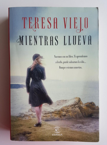 Portada do libro de MIENTRAS LLUEVA -TERESA VIEJO (t)