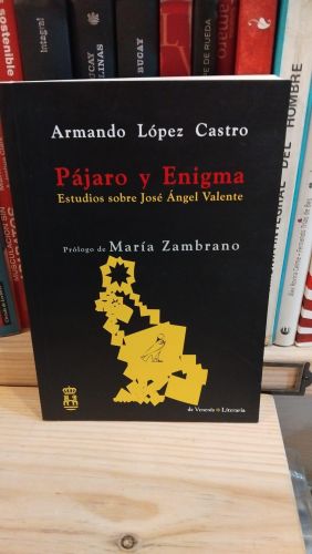 Portada do libro de Pájaro y enigma.  Estudios sobre José Ángel Valente