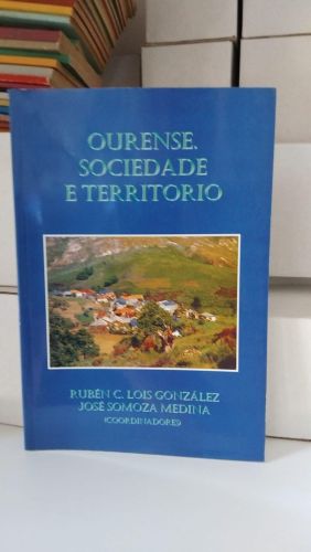 Ourense, sociedade e territorio