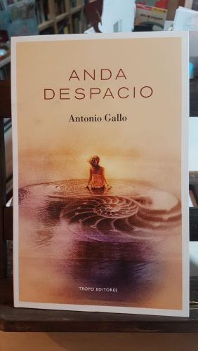 Portada do libro de Anda despacio