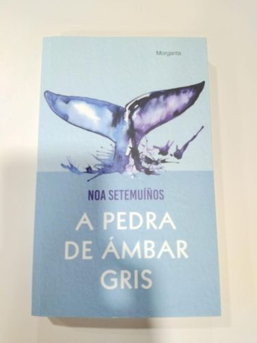 Portada do libro de A pedra de ámbar gris
